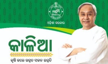 ଆଜି ଚାଷୀଙ୍କ ଆକାଉଣ୍ଟକୁ ଯିବ କାଳିଆ ଟଙ୍କା