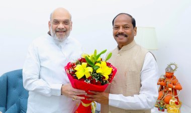 ଅମିତ ଶାହାଙ୍କୁ ଭେଟିଲେ ରାଜ୍ୟପାଳ