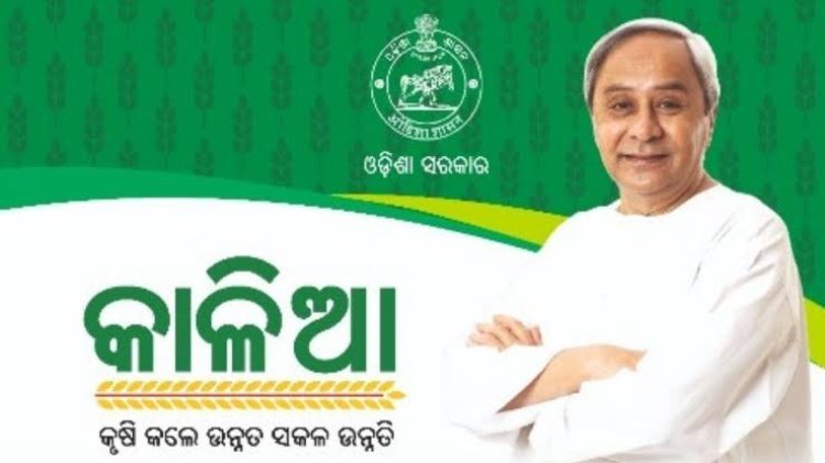 ଆଜି ଚାଷୀଙ୍କ ଆକାଉଣ୍ଟକୁ ଯିବ କାଳିଆ ଟଙ୍କା