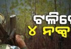 ମାଲକାନଗିରି -ଛତିଶଗଡ ସୀମାନ୍ତରେ ପୋଲିସ- ନକ୍ସଲ ମଧ୍ୟ ଗୁଳିବିନିମୟ, ୪ ହାଡ଼କୋର ମାଓବାଦୀ ନିହତ