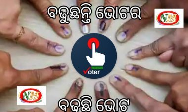 ସାଧାରଣ ନିର୍ବାଚନ 2024 ରେ ବଢ଼ିଲେ ଭୋଟର୍