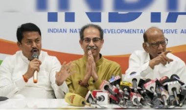 ମହାରାଷ୍ଟ୍ରରେ ଏକାଠି ଲଢ଼ିବେ ଏମ୍‌ଭିଏ