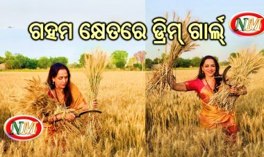 ଗହମ କ୍ଷେତରେ ଡ୍ରିମ୍ ଗାର୍ଲ୍ ହେମାମାଳିନୀ