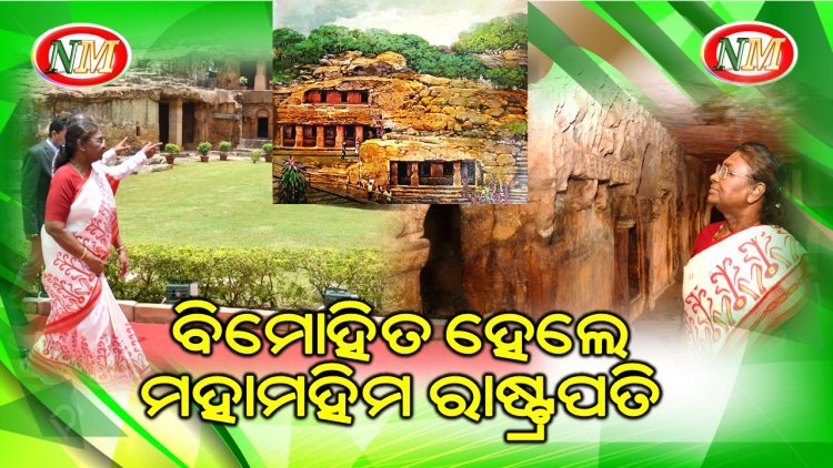 କଳାକୃତି ଦେଖି ବିମୋହିତ ହେଲେ ମହାମହିମ ରାଷ୍ଟ୍ରପତି