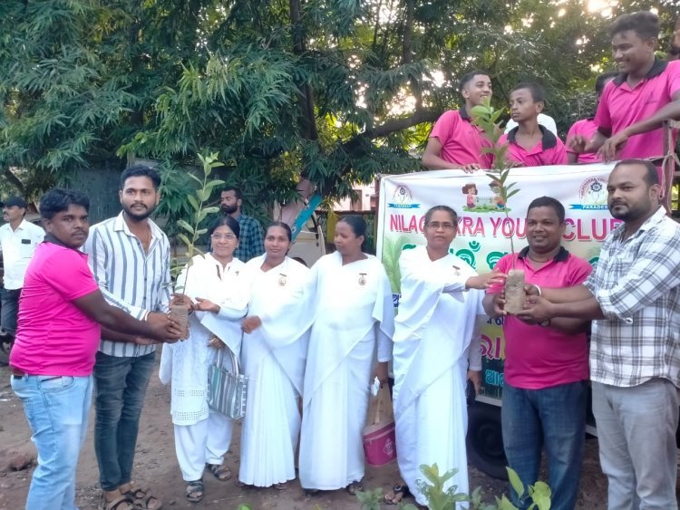 ମା ପାଇଁ ଗଛଟିଏ