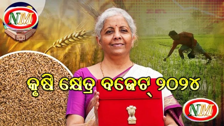 ବଜେଟ୍‌ ୨୦୨୪: କୃଷି କ୍ଷେତ୍ର ଲାଗି ୧.୫୨ ଲକ୍ଷ କୋଟି ଟଙ୍କା ଆବଣ୍ଟିତ