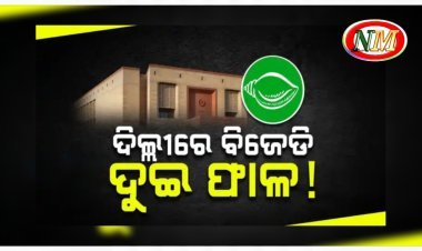 ବିଜେଡି ଦୁଇଫାଳ