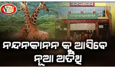 ନନ୍ଦନକାନନ କୁ ଆସିବେ ନୂଆ ଅତିଥି