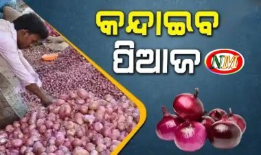ଦର ବଢୁଥିବାରୁ ଘାରିଲାଣି ପିଆଜ ଚିନ୍ତା