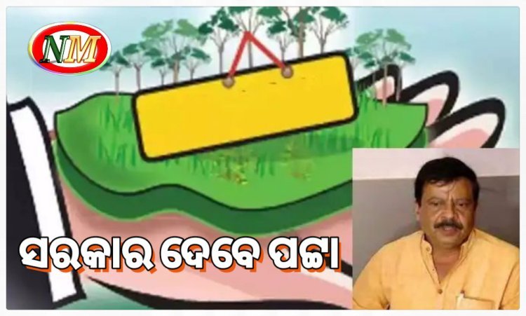 ଘରଡିହ ନଥିବା ପରିବାରକୁ ସରକାର ଦେବେ ପଟ୍ଟା