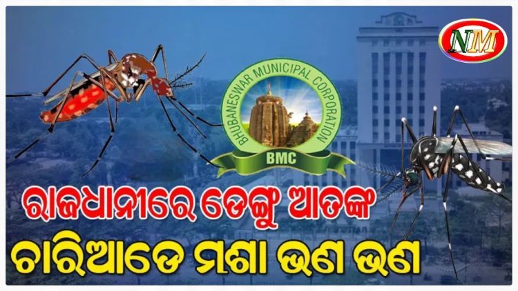 ରାଜ୍ୟରେ 'ଡେଙ୍ଗୁ' ଲଗାମଛଡ଼ା : ରାଜଧାନୀ ସ୍ଥିତି ଉଦ୍ବେଗଜନକ