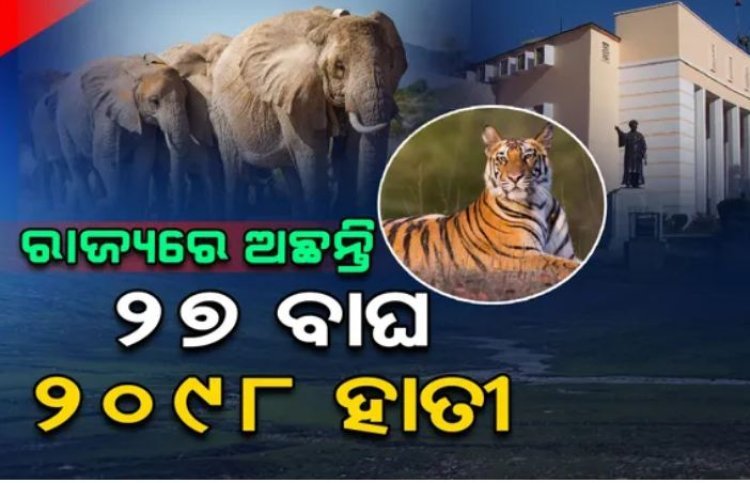ଭିତରକନିକାରେ ଅଛନ୍ତି ୧୮୫୦ ବଉଳା କୁମ୍ଭୀର