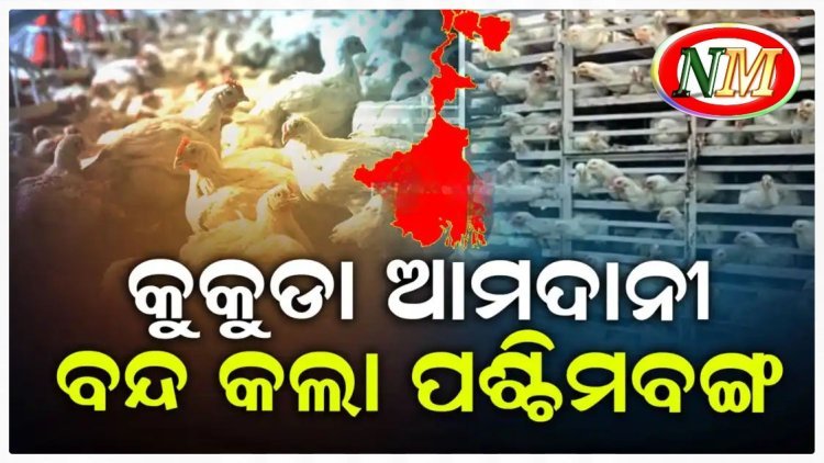 ବାର୍ଡ ଫ୍ଲୁ ଆତଙ୍କ