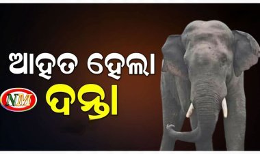 ଦନ୍ତା ଆହତ, ସ୍ବାସ୍ଥ୍ୟାବସ୍ଥା ଅନୁଧ୍ୟାନ କରୁଛି ବିଶେଷଜ୍ଞ ଟିମ୍