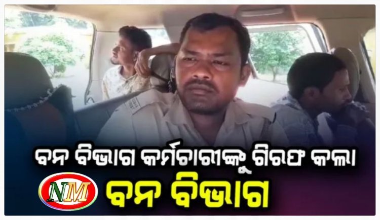 ହାତୀ ମୃତ୍ୟୁ ଘଟଣାରେ  ବନ ବିଭାଗ କର୍ମଚାରୀଙ୍କୁ ଗିରଫ କଲା ବନ ବିଭାଗ