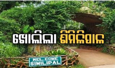 ଆଜିଠୁ ଖୋଲିଲା ପର୍ଯ୍ୟଟକଙ୍କ ପାଇଁ ଶିମିଳିପାଳ ଅଭୟାରଣ୍ୟ