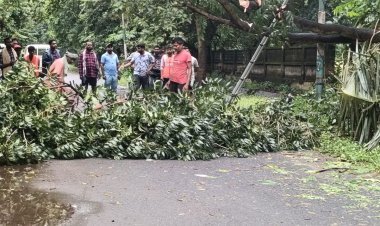 ଜଗତସିଂହପୁର ଜିଲ୍ଲାରେ ବାତ୍ୟା "ଦାନା" ପ୍ରଭାବ