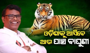 ମହାରାଷ୍ଟ୍ରରୁ ଓଡ଼ିଶାକୁ ଆସିବେ ଆଉ ୫ ବାଘୁଣୀ