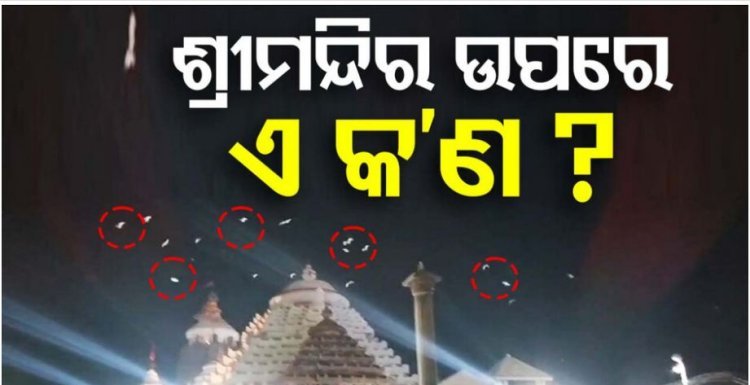 ଚକିତ ପର୍ଯ୍ୟଟକ; ରାତିରେ ଶ୍ରୀମନ୍ଦିର ଉପରେ ଉଡ଼ିଲେ ଶହ ଶହ ପକ୍ଷୀ