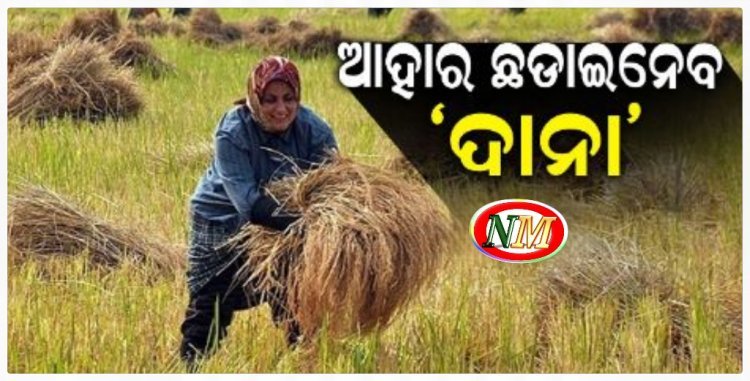 'ଦାନା' ନେଇଯିବ କି ଚାଷୀଙ୍କ ଦାନା
