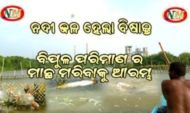 ଏସିଡ୍ ପାଣି ଲିକ୍ ରେ ମାଛ ମଲେ