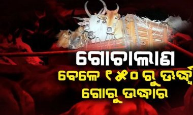 ବେଆଇନ୍ ଗୋଚାଲାଣ : ୧୦ ଅଟକ