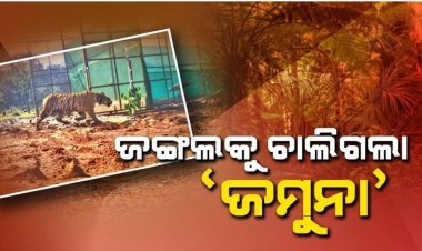 ଜଙ୍ଗଲକୁ ଚାଲିଗଲା 'ଜମୁନା'