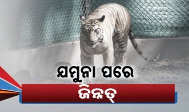 ଯମୁନା ପରେ ଆସିଲା ଜିନ୍ନତ