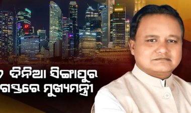 ସିଙ୍ଗାପୁର ଗସ୍ତରେ ମୁଖ୍ୟମନ୍ତ୍ରୀ