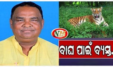 ବାଘକୁ ନେଇ ବିଧାୟକ ଚିନ୍ତିତ