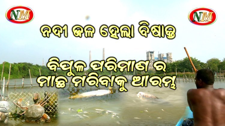ଏସିଡ୍ ପାଣି ଲିକ୍ ରେ ମାଛ ମଲେ