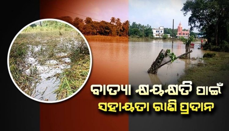 ବାତ୍ୟାରେ କ୍ଷତିଗ୍ରସ୍ତଙ୍କୁ ସହାୟତା ରାଶି ବାଣ୍ଟିବେ ଜିଲ୍ଲାପାଳ