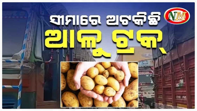 ଓଡ଼ିଶାକୁ ଆଳୁ ସଂକଟ