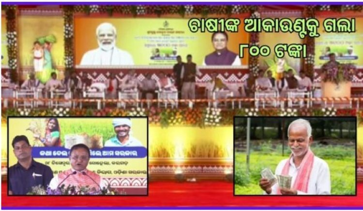 ଚାଷୀଙ୍କୁ ୮୦୦ ଟଙ୍କାର ଇନ୍‌ପୁଟ୍‌ ସହାୟତା ପ୍ରଦାନ କଲେ ମୁଖ୍ୟମନ୍ତ୍ରୀ